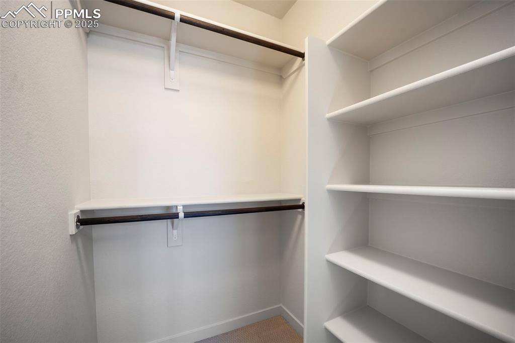 9277 Percheron Pony Drive Colorado Springs CO 80908