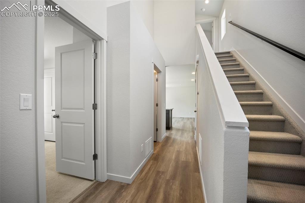 9277 Percheron Pony Drive Colorado Springs CO 80908