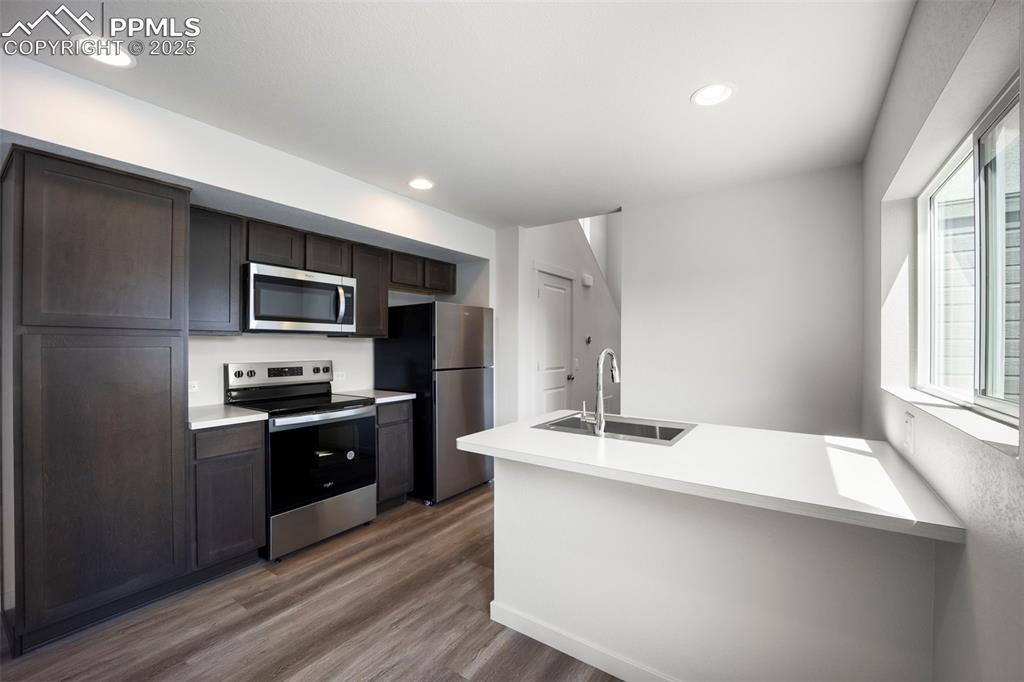 9277 Percheron Pony Drive Colorado Springs CO 80908