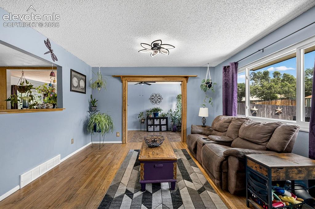 1372 Luna Drive Fountain CO 80817