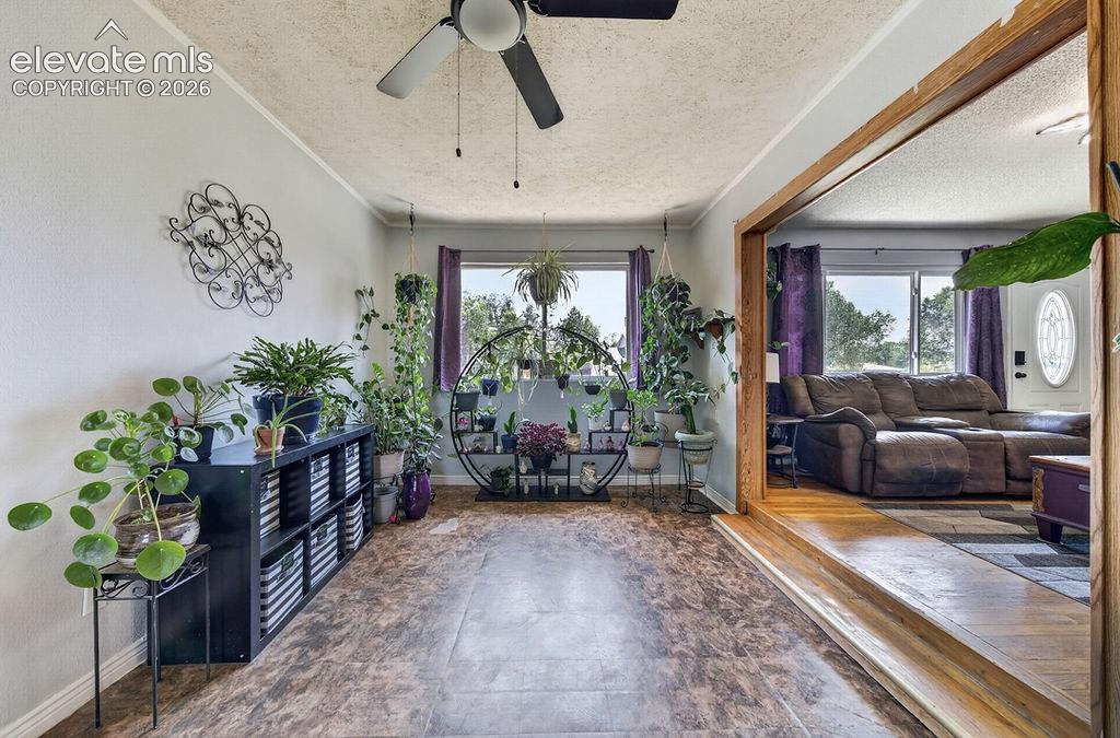 1372 Luna Drive Fountain CO 80817