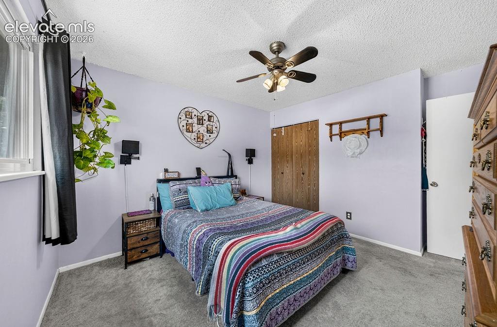 1372 Luna Drive Fountain CO 80817