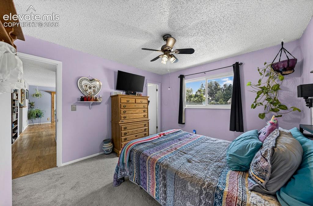 1372 Luna Drive Fountain CO 80817