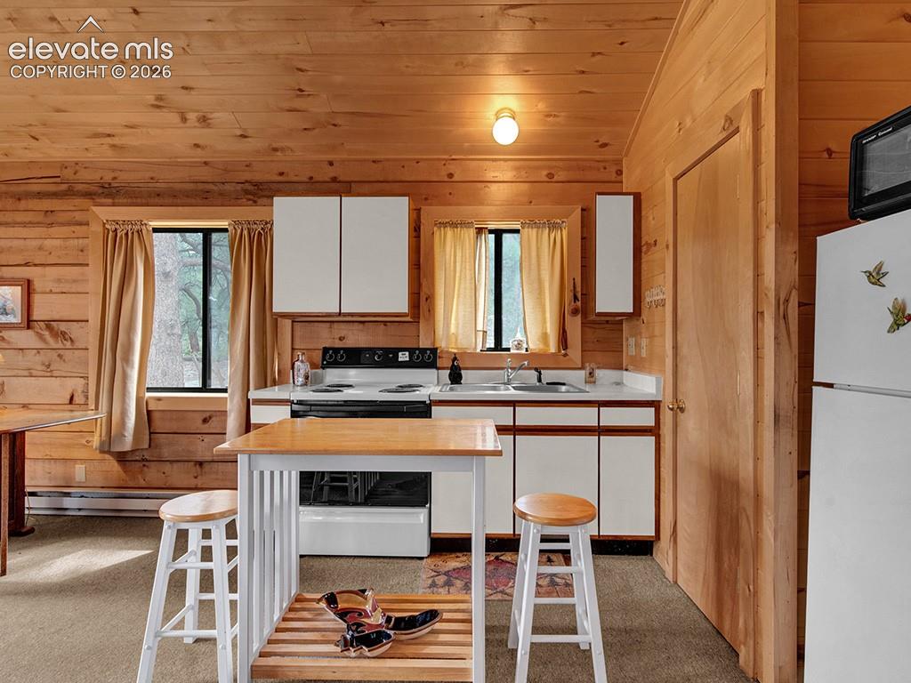 1462 Pulver Road Lake George CO 80827