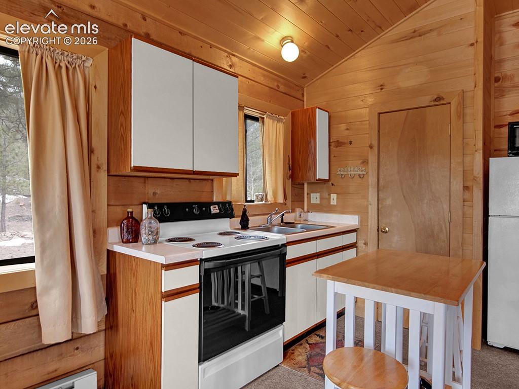 1462 Pulver Road Lake George CO 80827