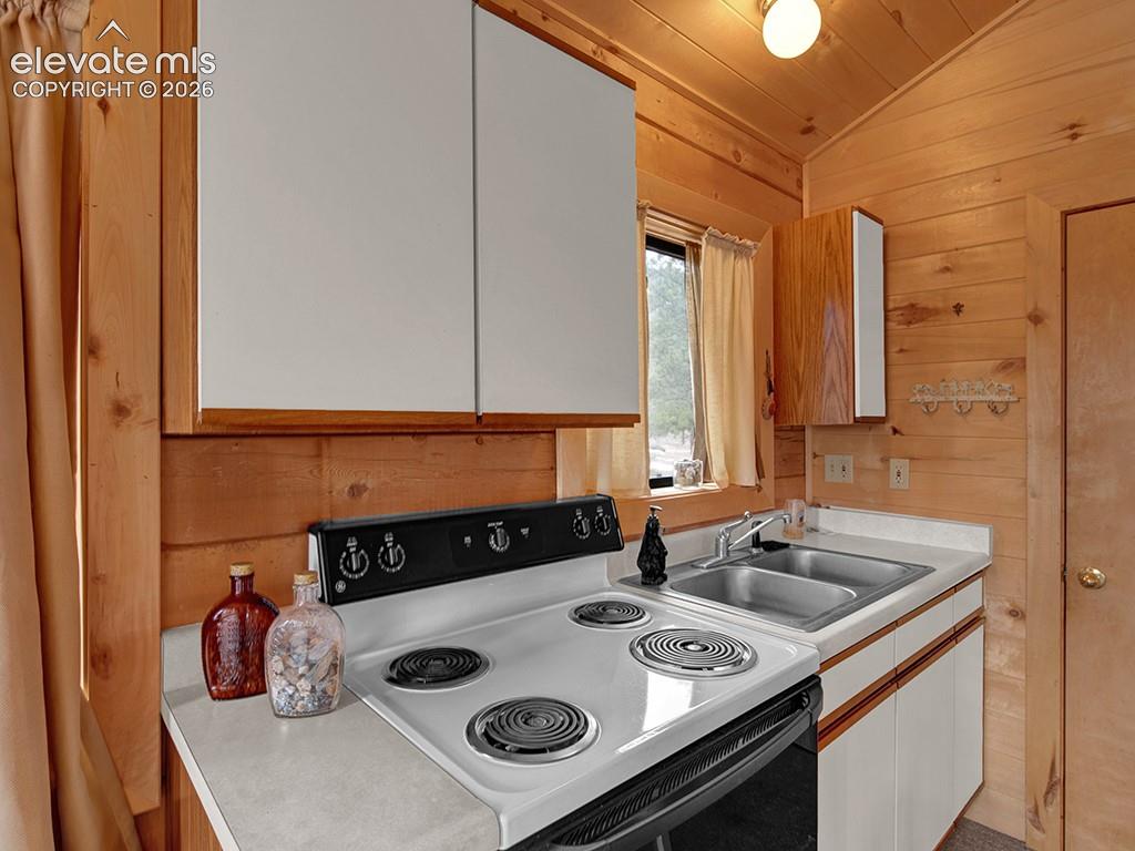 1462 Pulver Road Lake George CO 80827