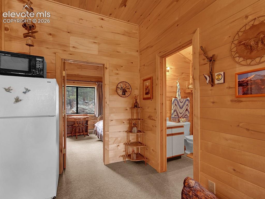 1462 Pulver Road Lake George CO 80827