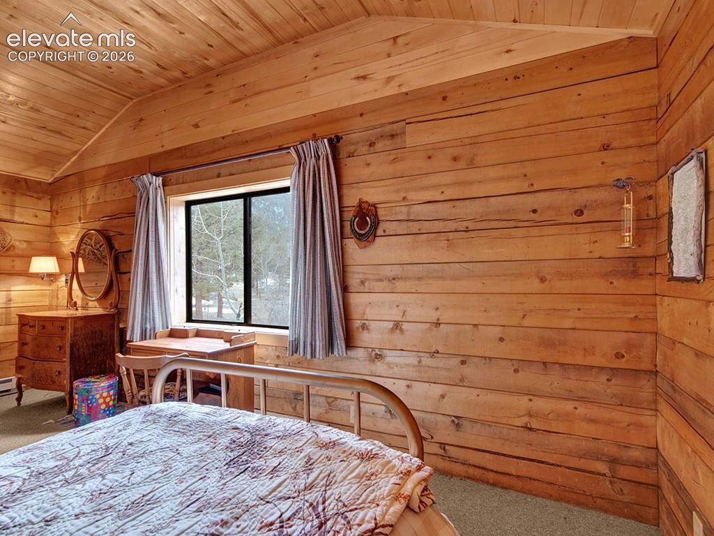 1462 Pulver Road Lake George CO 80827