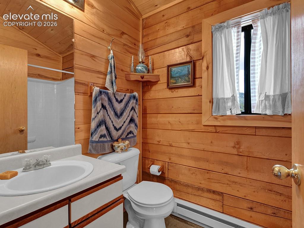 1462 Pulver Road Lake George CO 80827