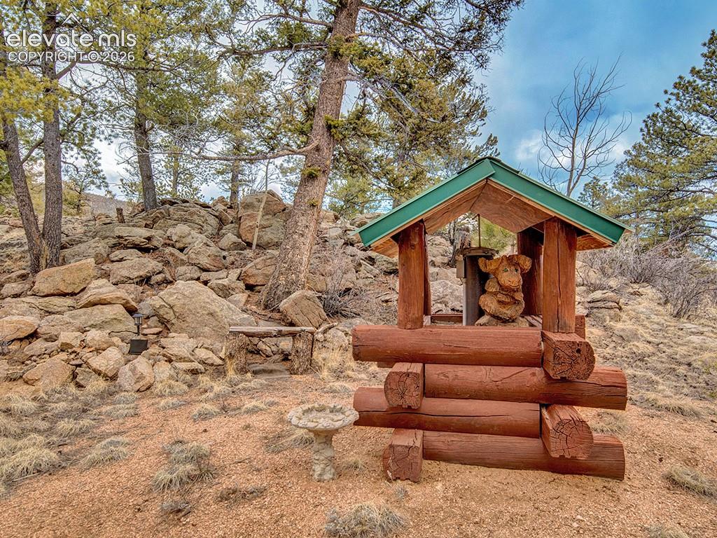 1462 Pulver Road Lake George CO 80827