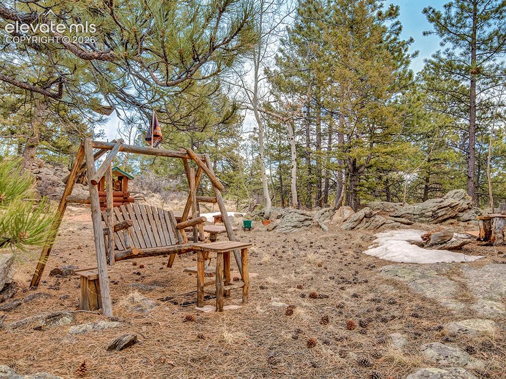 1462 Pulver Road Lake George CO 80827