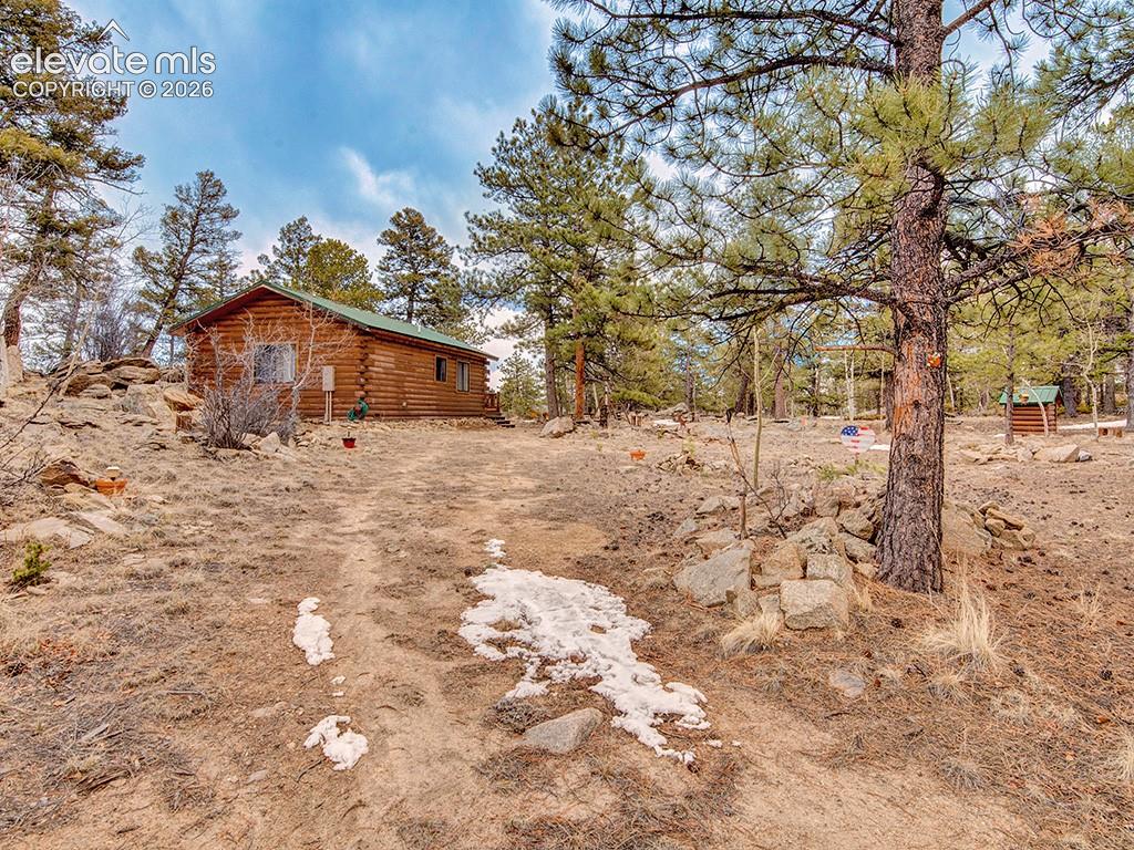 1462 Pulver Road Lake George CO 80827