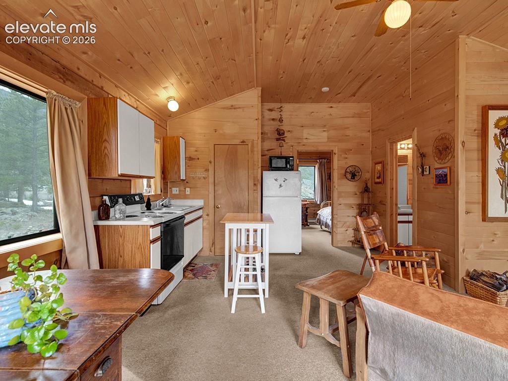 1462 Pulver Road Lake George CO 80827