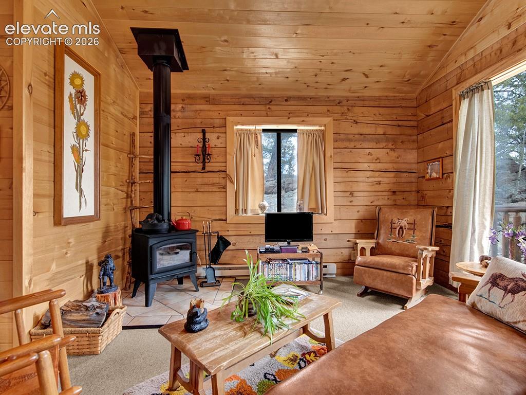 1462 Pulver Road Lake George CO 80827