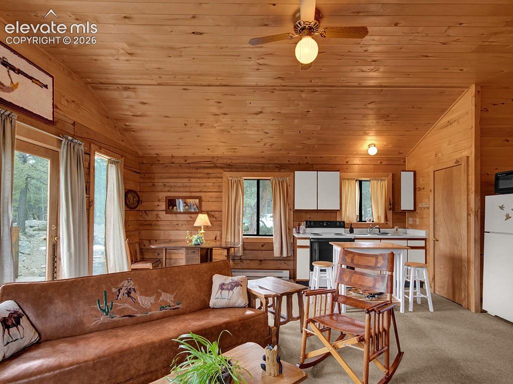 1462 Pulver Road Lake George CO 80827