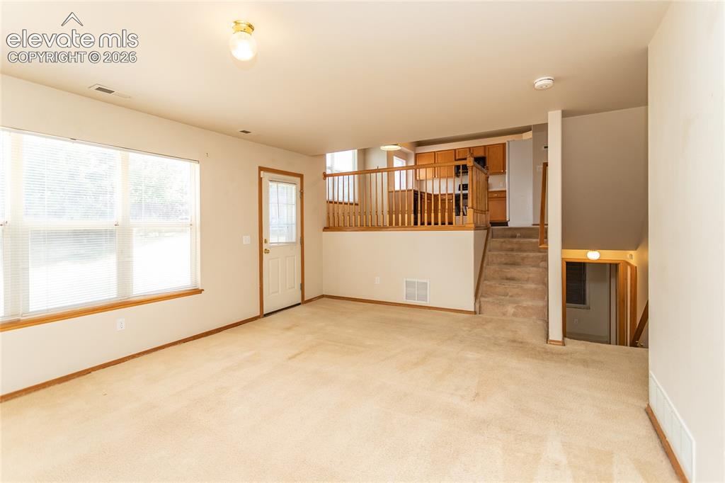4319 Apache Plume Drive Colorado Springs CO 80920