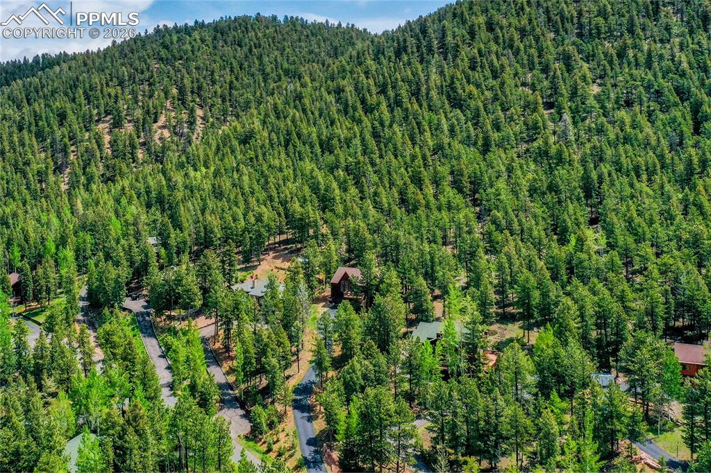 1321 Forest Edge Road Woodland Park CO 80863