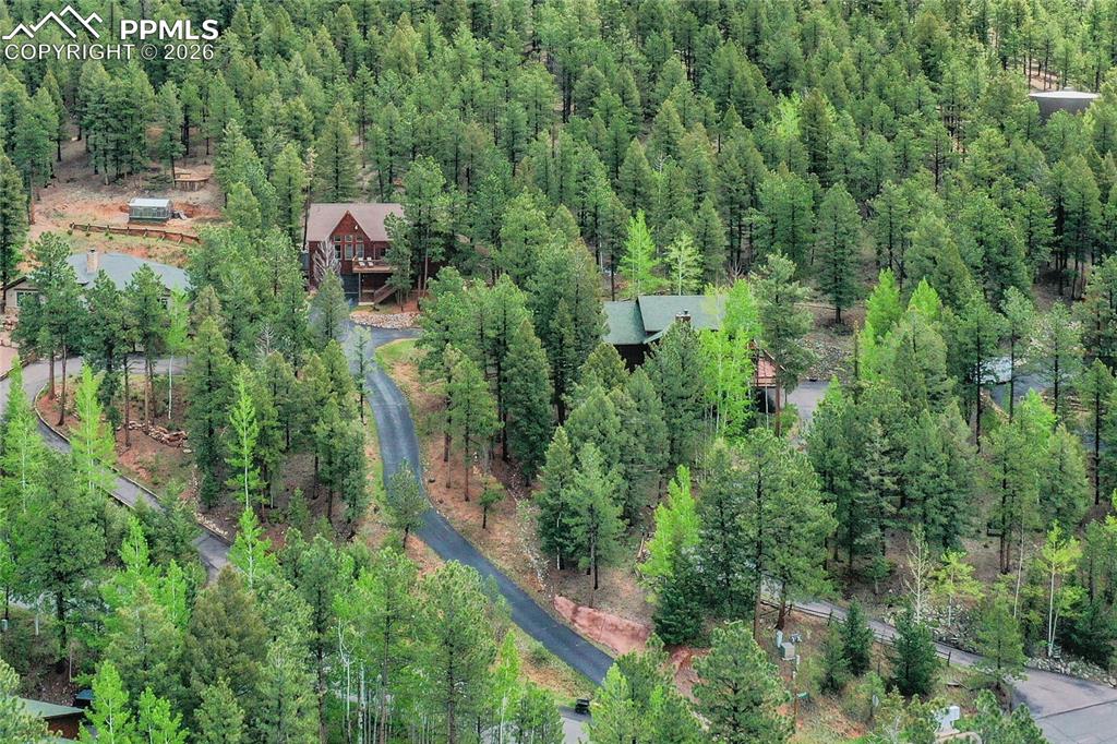 1321 Forest Edge Road Woodland Park CO 80863