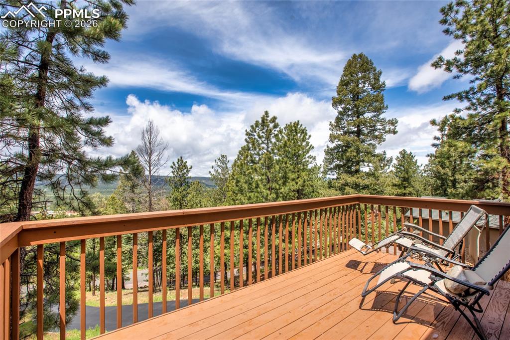 1321 Forest Edge Road Woodland Park CO 80863