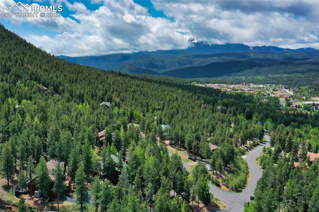 1321 Forest Edge Road Woodland Park CO 80863