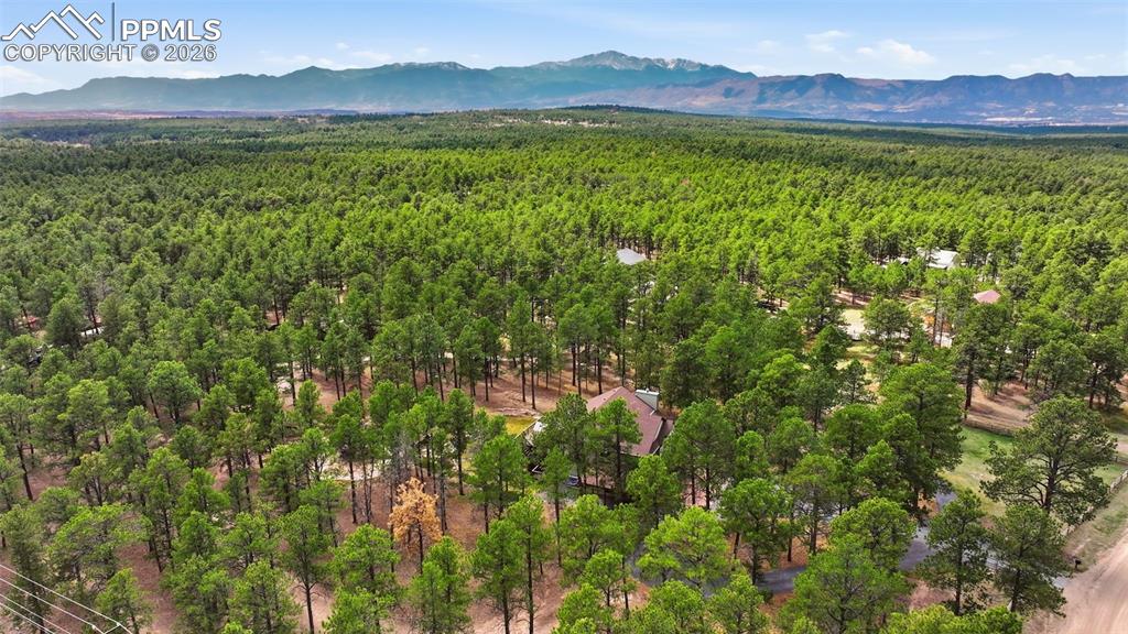 7585 Juniper Drive Colorado Springs CO 80908