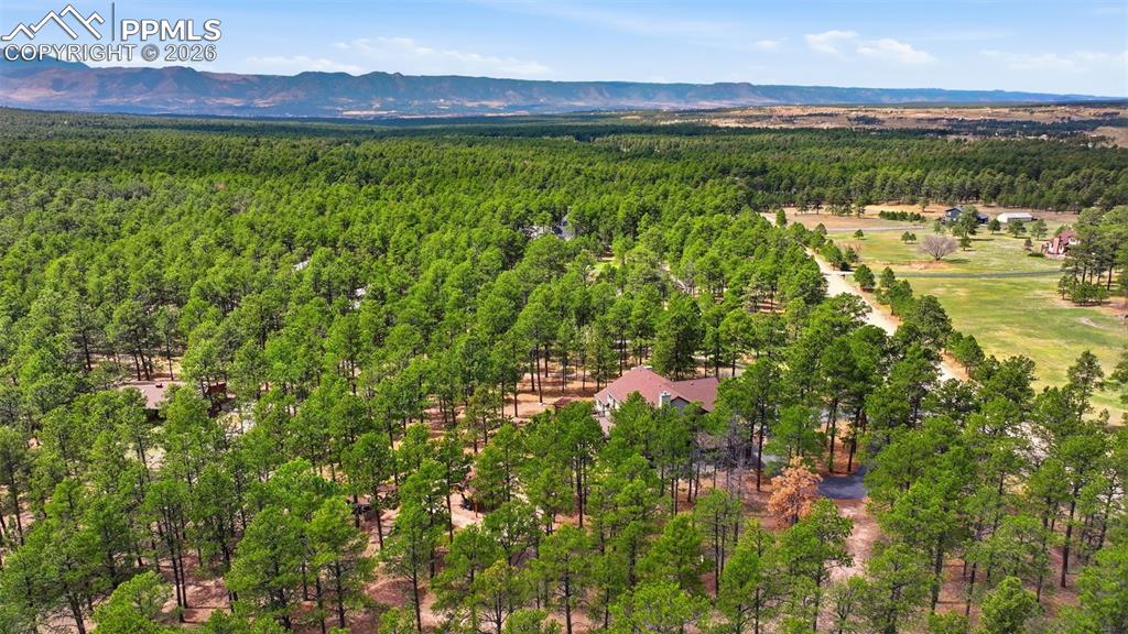 7585 Juniper Drive Colorado Springs CO 80908
