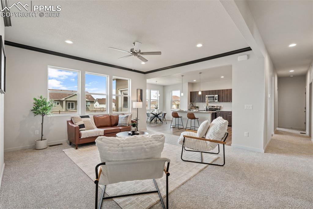 729 E Campbell Lane Pueblo West CO 81007