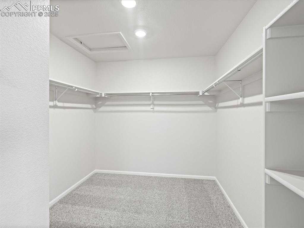 11390 Pikeminnow Place Colorado Springs CO 80925