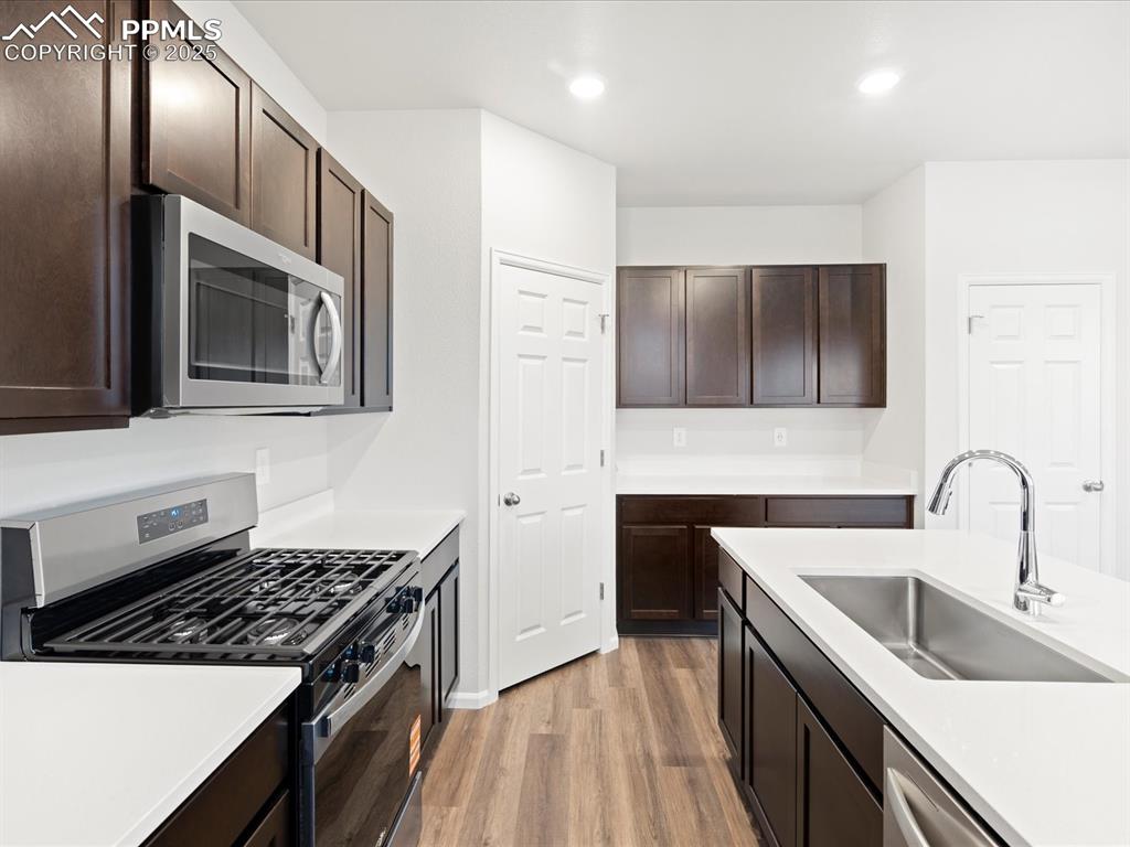 11390 Pikeminnow Place Colorado Springs CO 80925