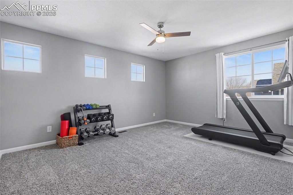 6467 Graymont Drive Colorado Springs CO 80923