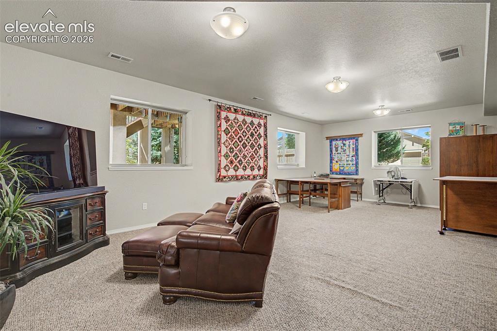 9590 Orchard Park Trail Colorado Springs CO 80920