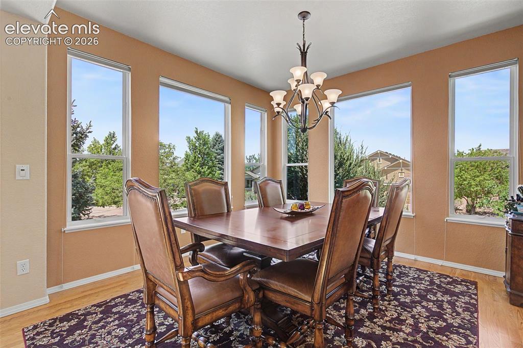 9590 Orchard Park Trail Colorado Springs CO 80920