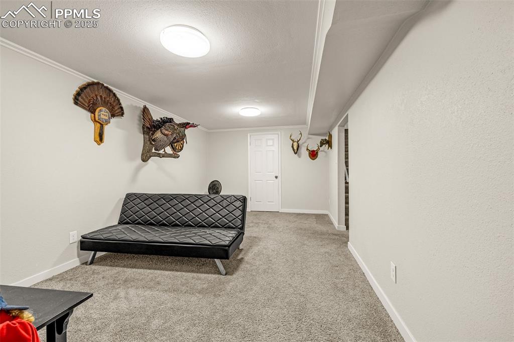 2522 Ivanhoe Drive Colorado Springs CO 80911