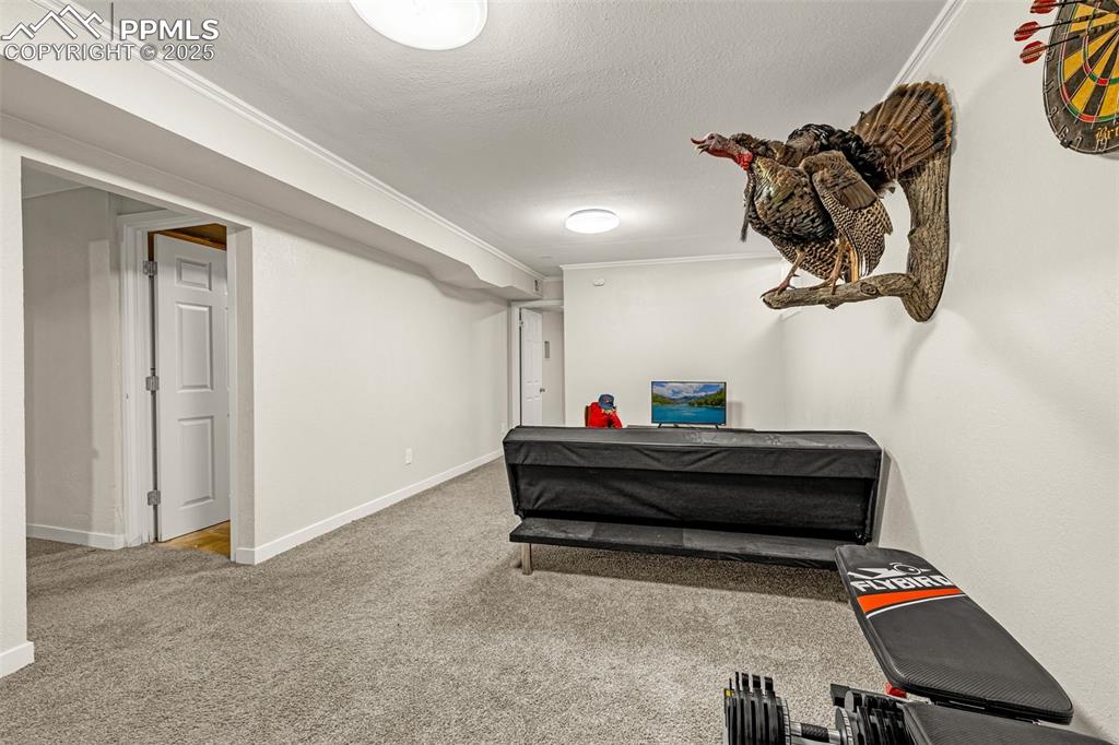 2522 Ivanhoe Drive Colorado Springs CO 80911