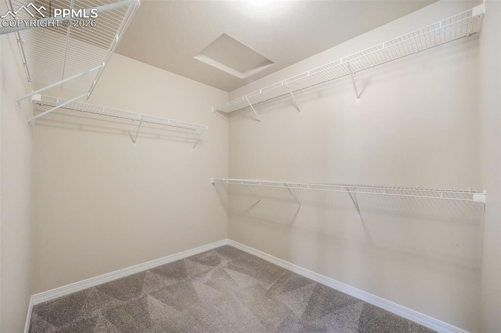 7851 Lathrop View Colorado Springs CO 80924