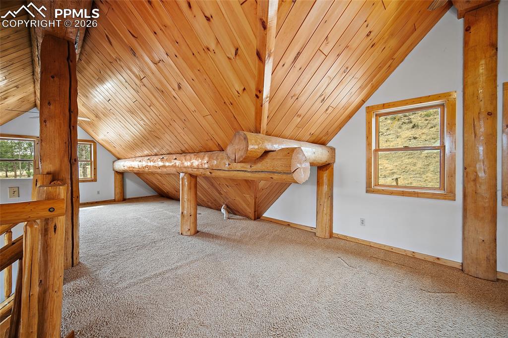 13475 Hedi Road Woodland Park CO 80863