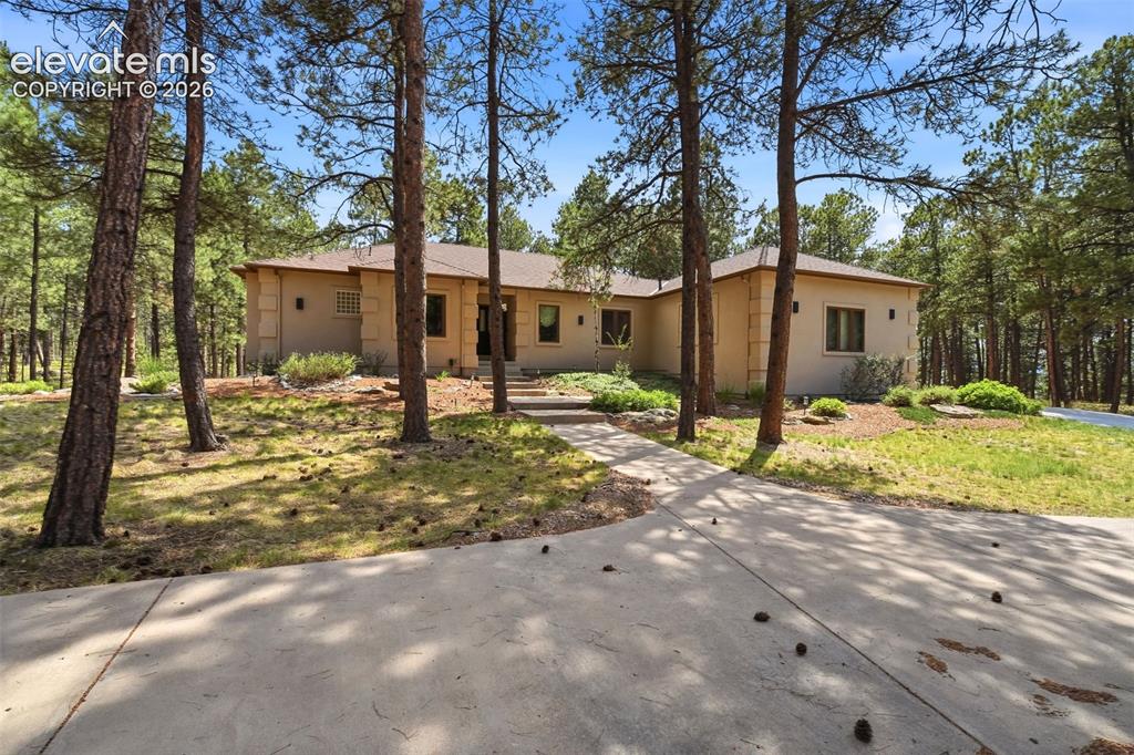 3925 Wavy Oak Drive Colorado Springs CO 80908