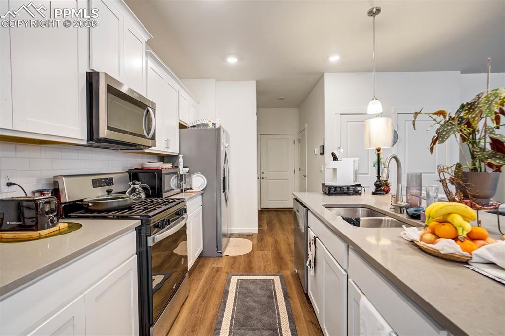 2325 Coyote Mint Drive Monument CO 80132