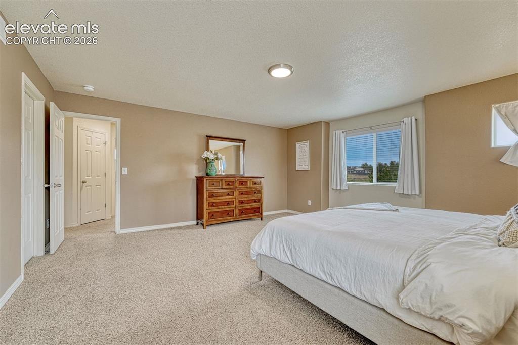 2404 Shady Aspen Drive Colorado Springs CO 80921