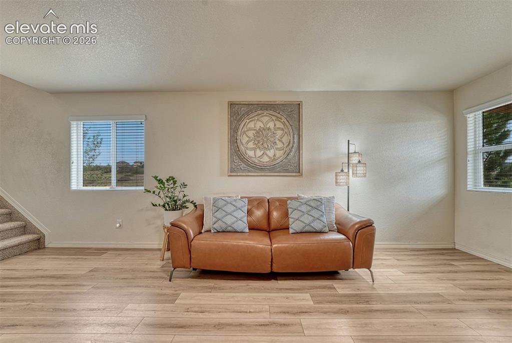 2404 Shady Aspen Drive Colorado Springs CO 80921