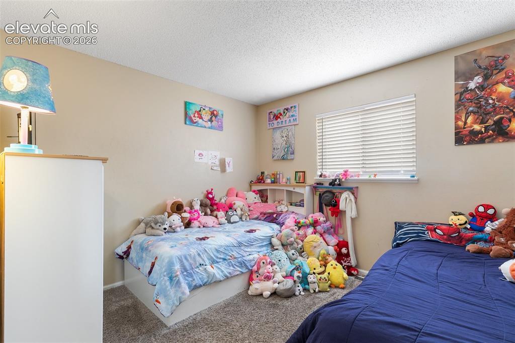 4202 Whittier Drive Colorado Springs CO 80910