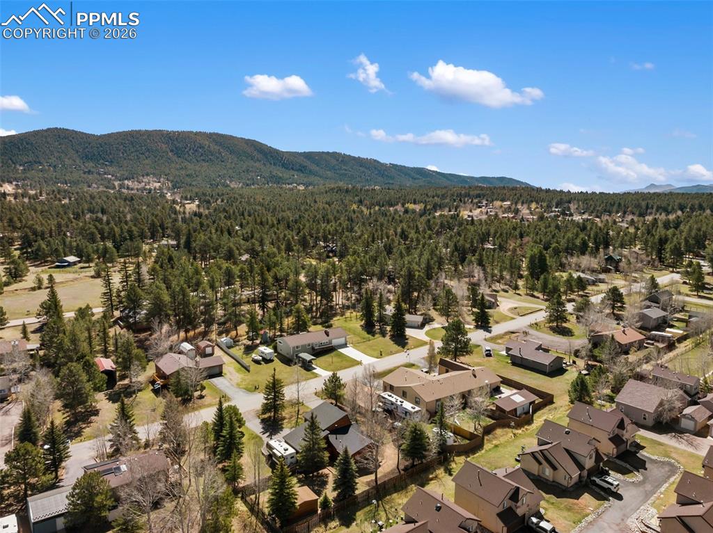 1700 Blackfoot Trail Woodland Park CO 80863