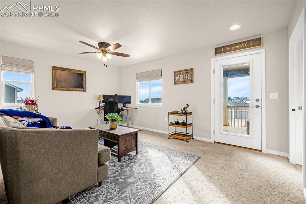 9931 Antelope Ravine Drive Colorado Springs CO 80908