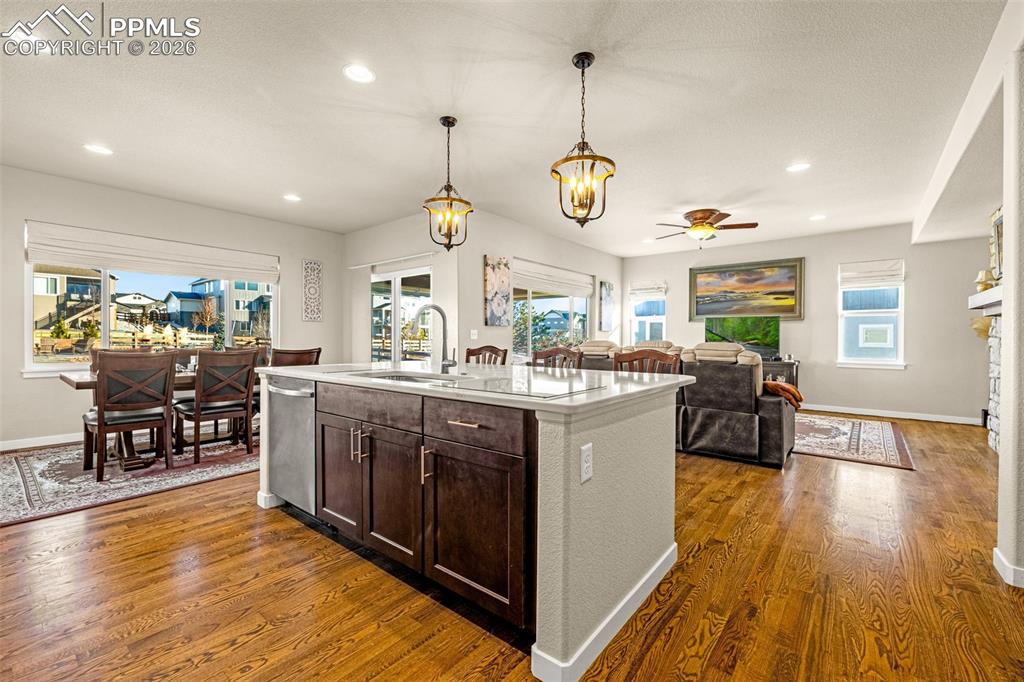 9931 Antelope Ravine Drive Colorado Springs CO 80908