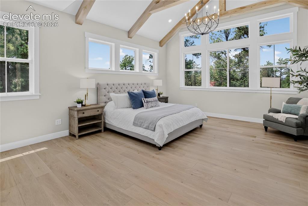 19404 Hilltop Pines Path Monument CO 80132