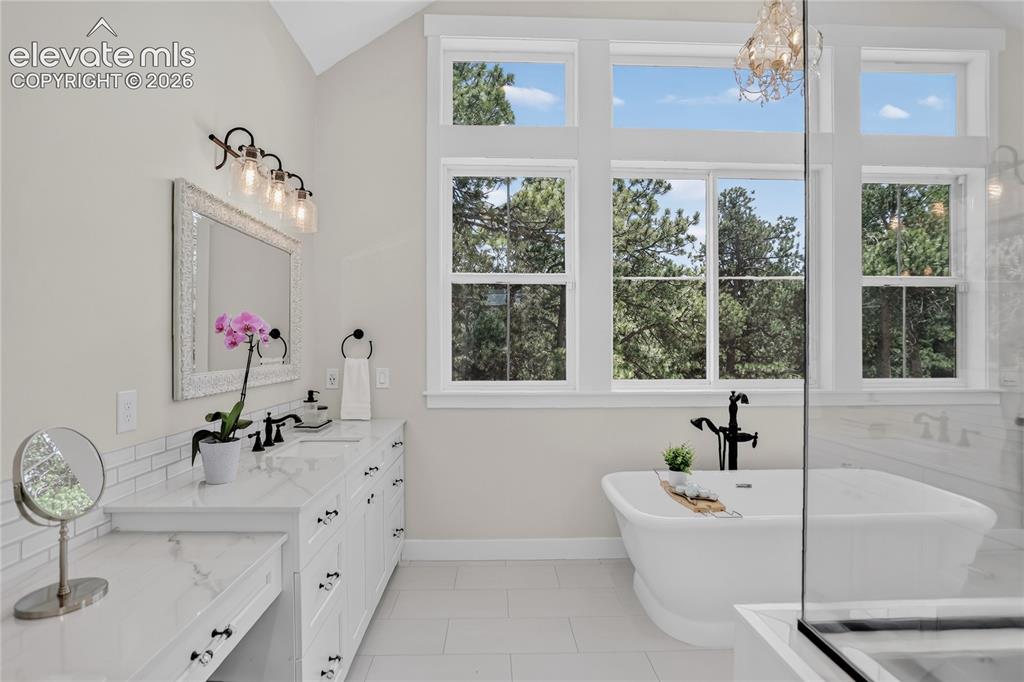19404 Hilltop Pines Path Monument CO 80132