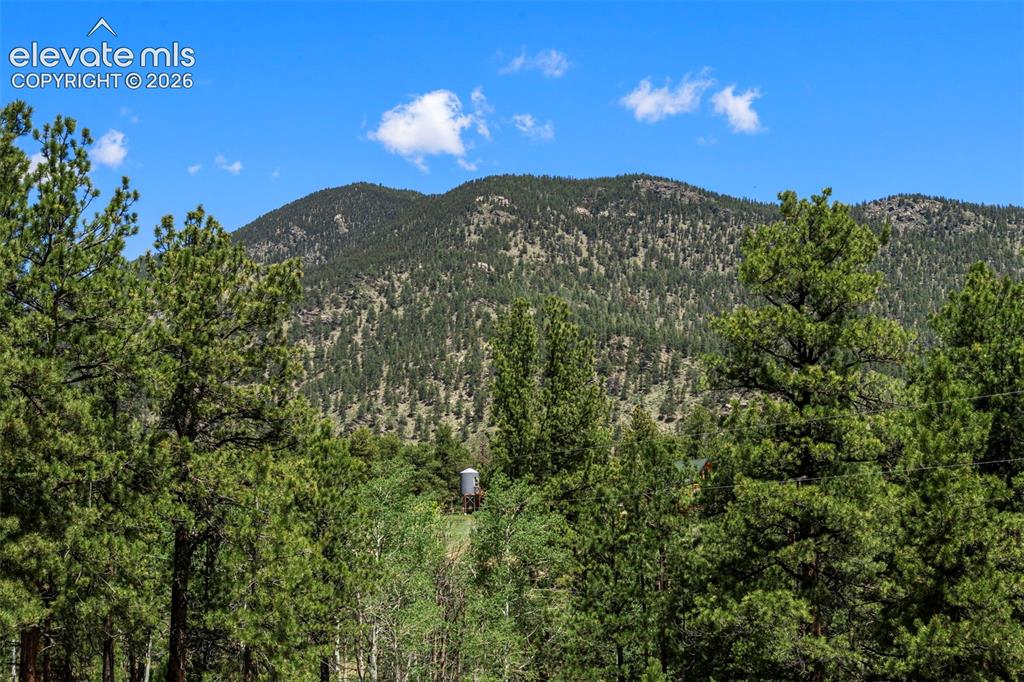 546 Pulver Road Lake George CO 80827