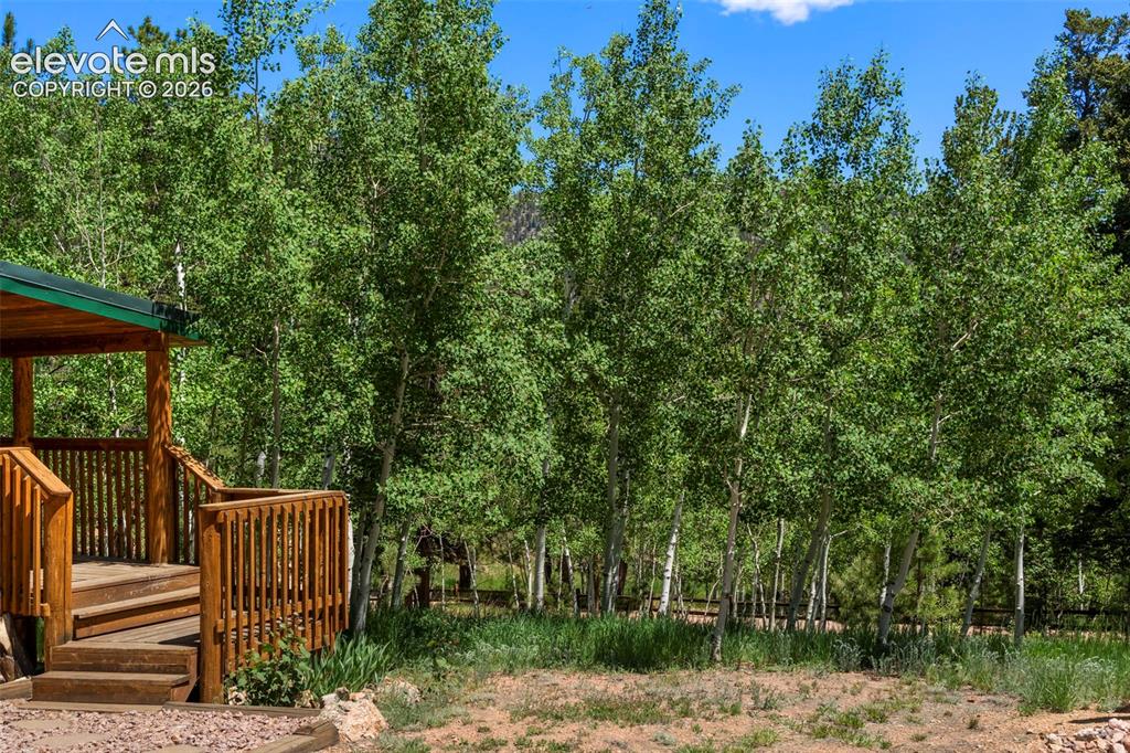 546 Pulver Road Lake George CO 80827