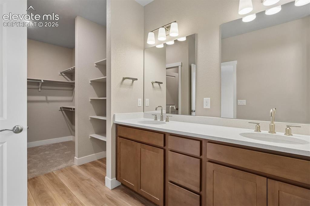 3059 Curly Grove Colorado Springs CO 80922