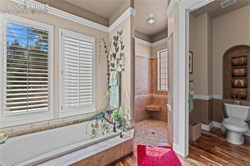 8465 Aspenglow Lane Cascade CO 80809